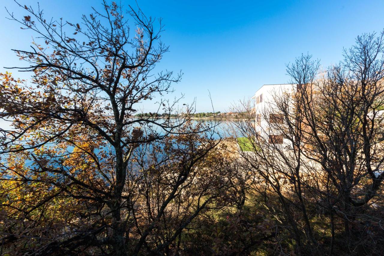 Pansion Croatia Bed & Breakfast Стариград-Пакленица Екстериор снимка
